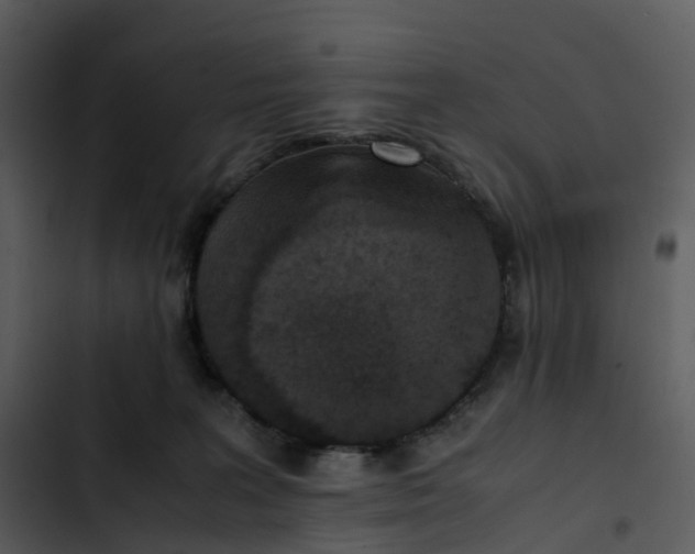 X0000102860227200809081313