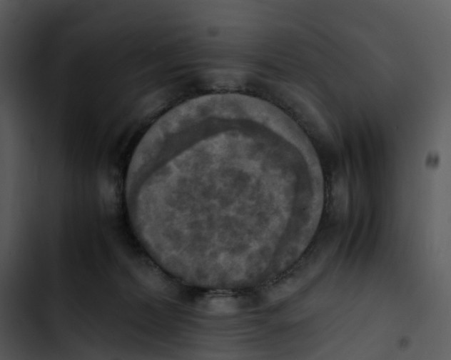 X0000102860228200809081313