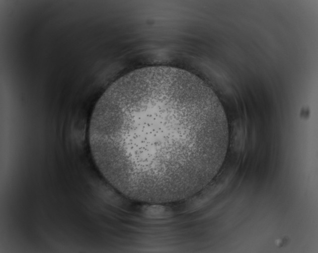 X0000102860230200809081313