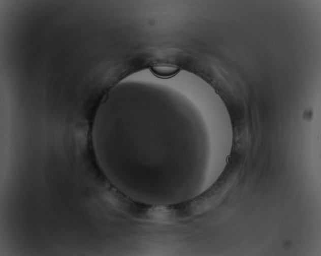 X0000102860231200809081313