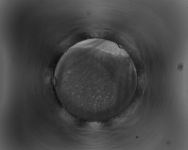 X0000102860233200809081313