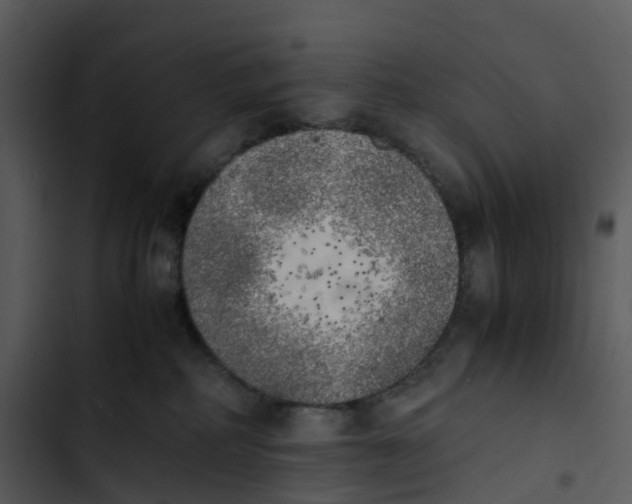 X0000102860234200809081313