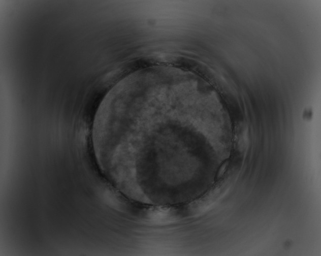 X0000102860235200809081313