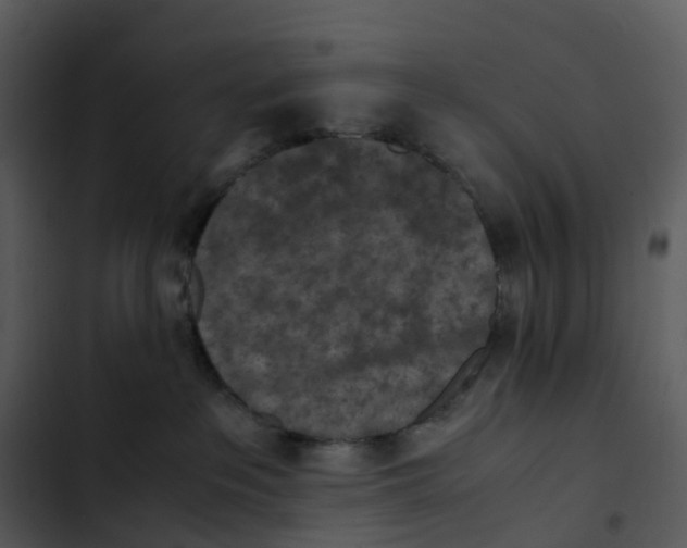 X0000102860237200809081313