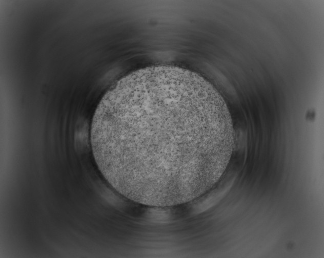 X0000102860238200809081313