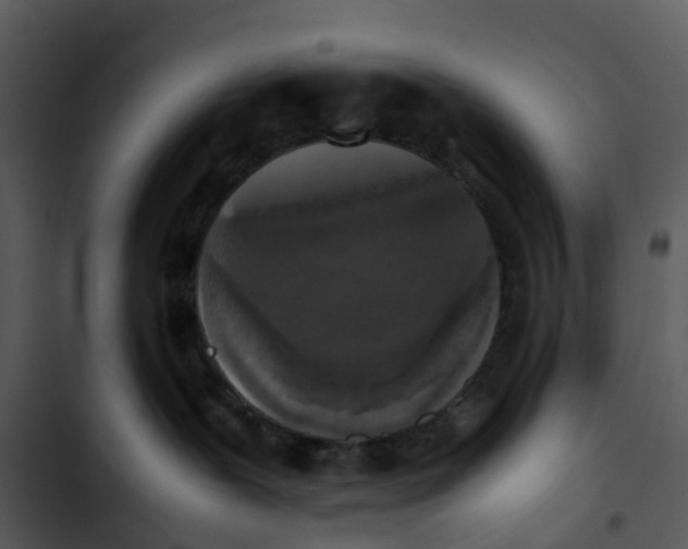 X0000102860239200809081313