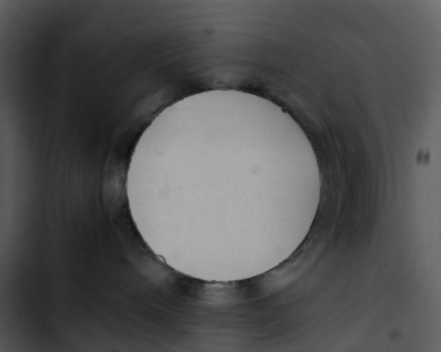 X0000102860240200809081313