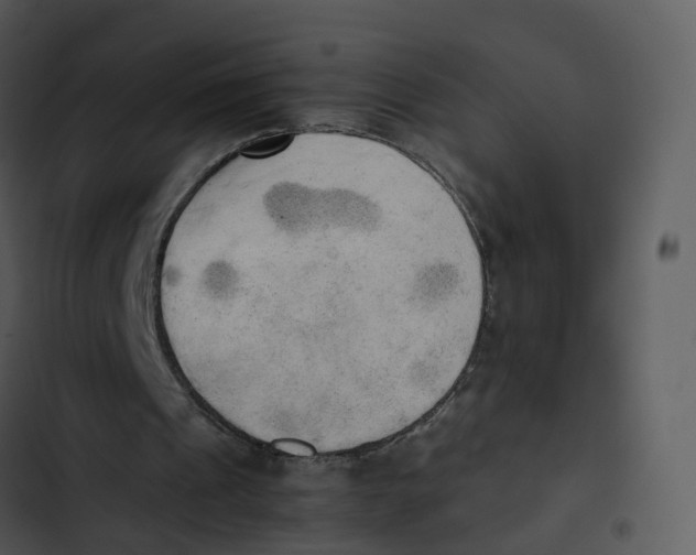 X0000102860241200809081312