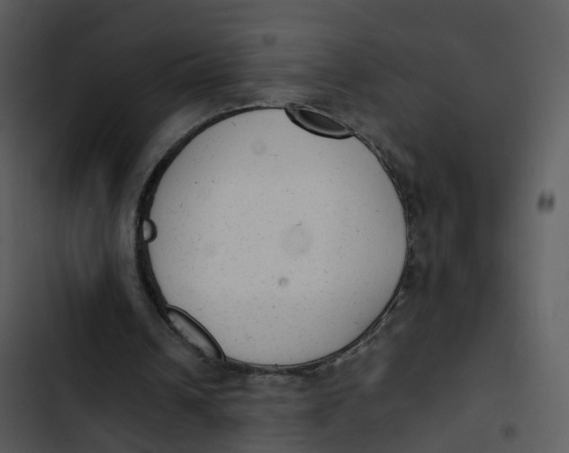 X0000102860242200809081312