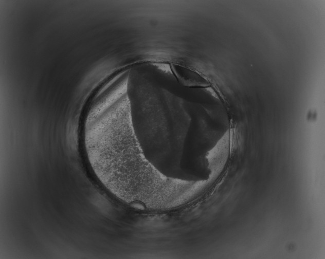 X0000102860243200809081312