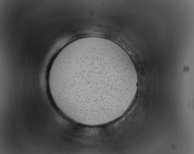 X0000102860245200809081312