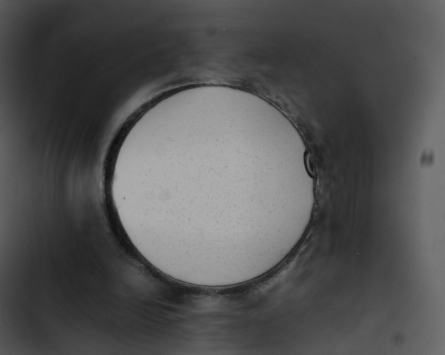 X0000102860246200809081312