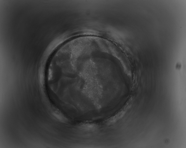 X0000102860247200809081312