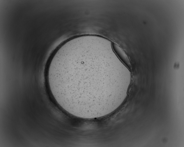 X0000102860248200809081312