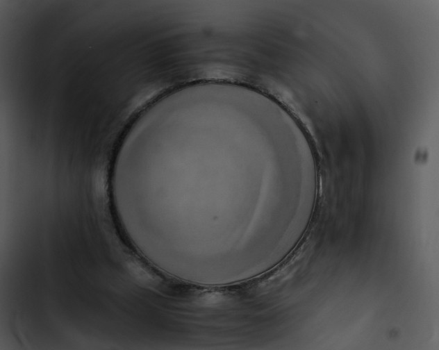 X0000102860249200809081313