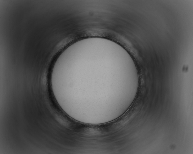 X0000102860250200809081313