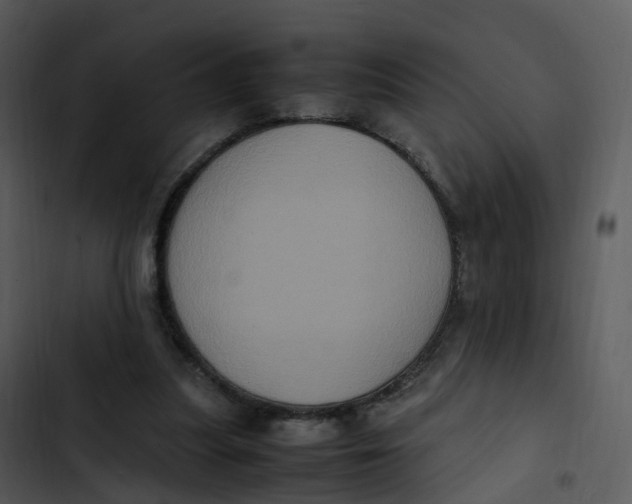 X0000102860251200809081313