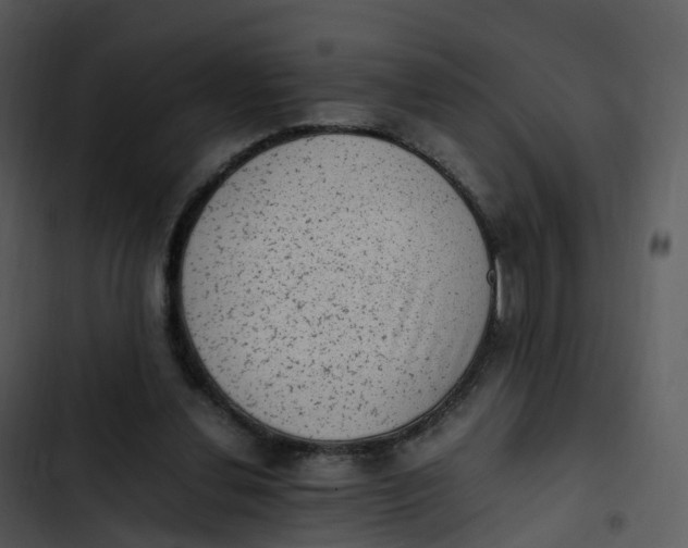 X0000102860252200809081313