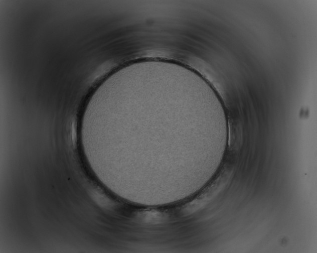 X0000102860253200809081313