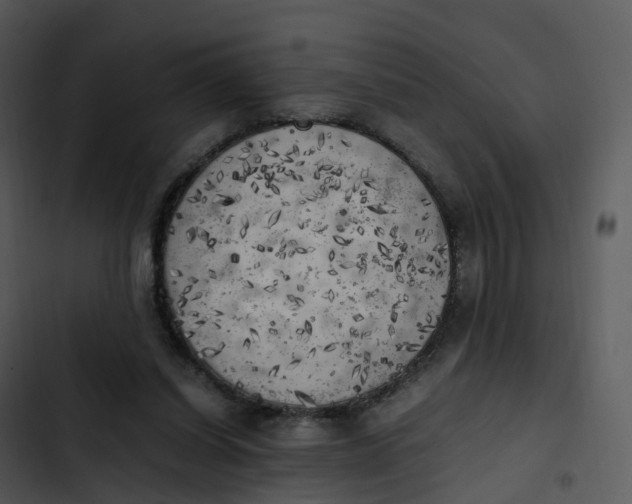 X0000102860254200809081313