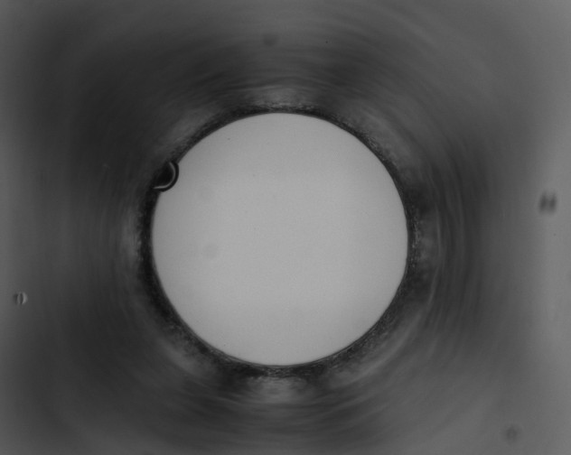 X0000102860255200809081313