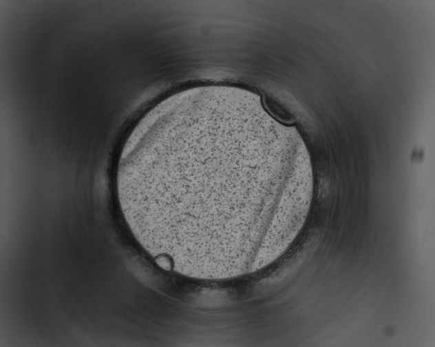 X0000102860256200809081313