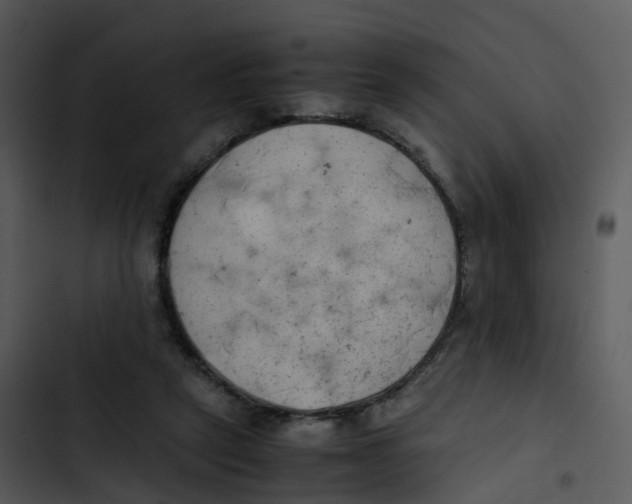 X0000102860257200809081313