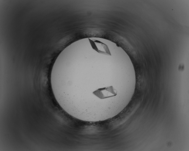 X0000102860259200809081313