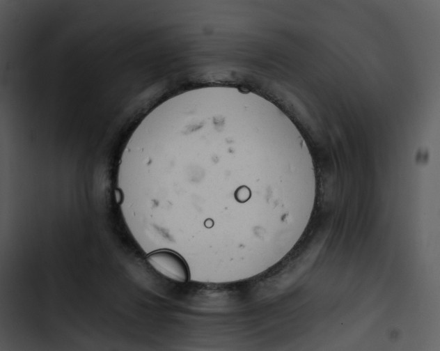 X0000102860260200809081313