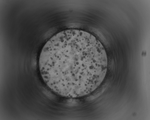 X0000102860261200809081313