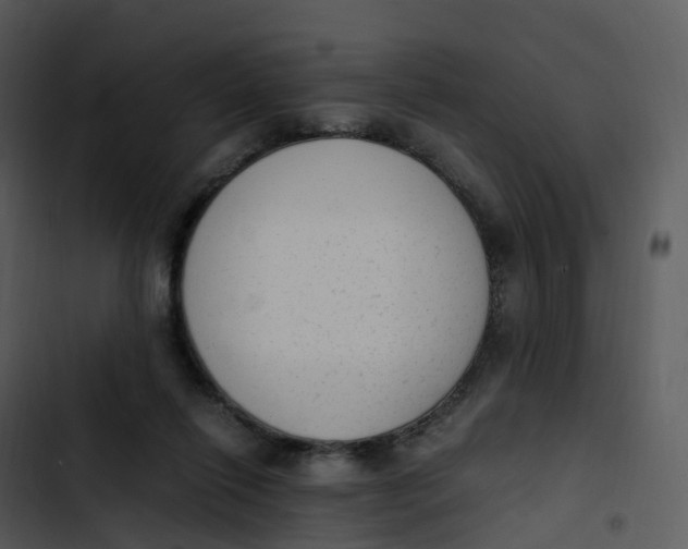 X0000102860262200809081313