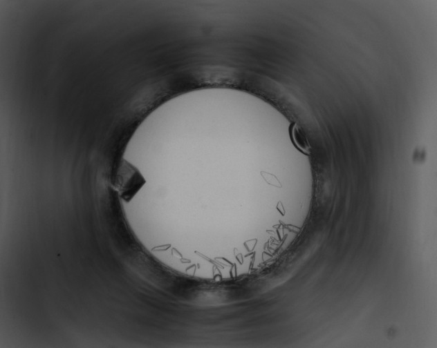 X0000102860263200809081313