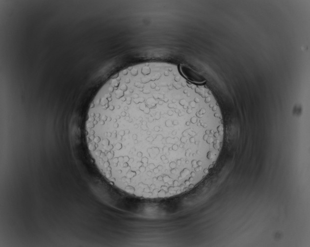 X0000102860264200809081313