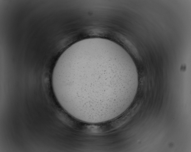 X0000102860265200809081313