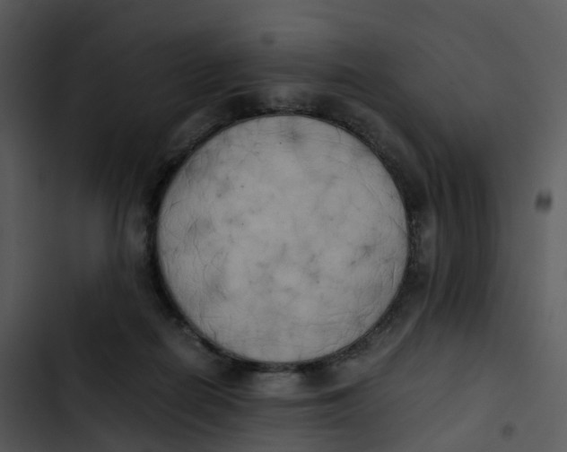 X0000102860266200809081313