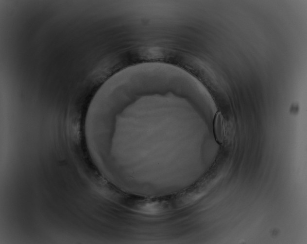 X0000102860267200809081313