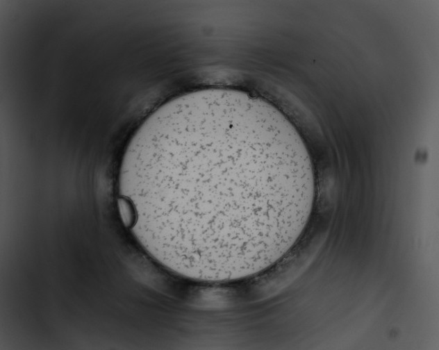 X0000102860268200809081313