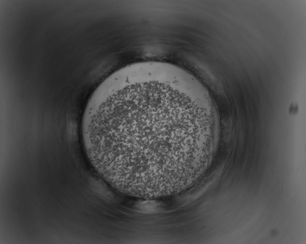 X0000102860269200809081313