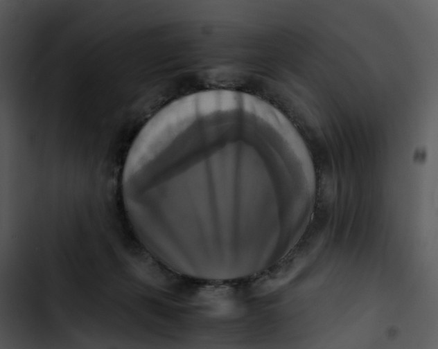 X0000102860271200809081313