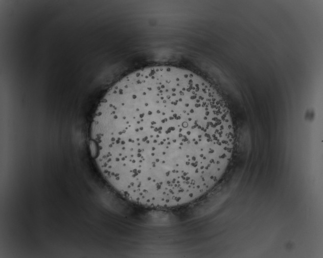 X0000102860272200809081313