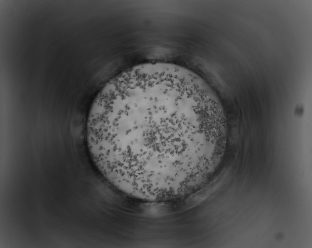 X0000102860273200809081313