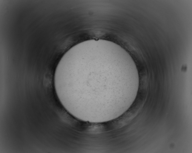 X0000102860274200809081313