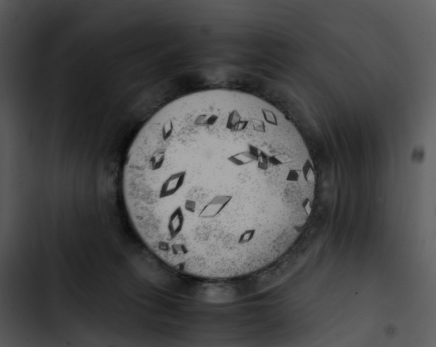 X0000102860275200809081313