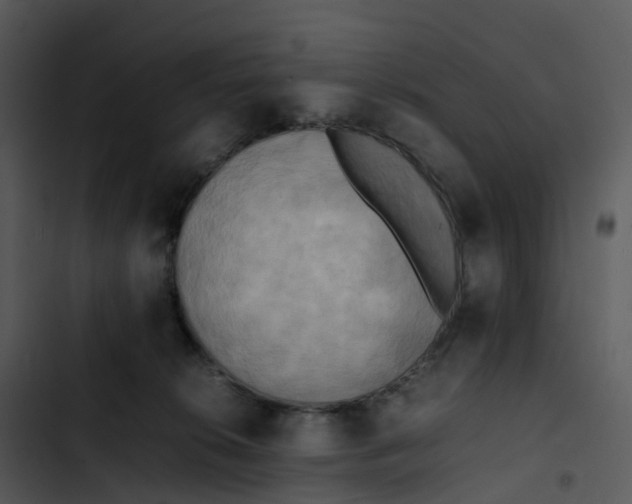 X0000102860276200809081313