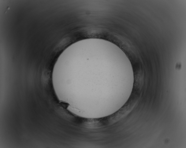 X0000102860278200809081313