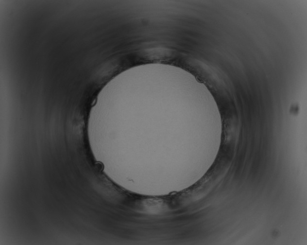 X0000102860279200809081313