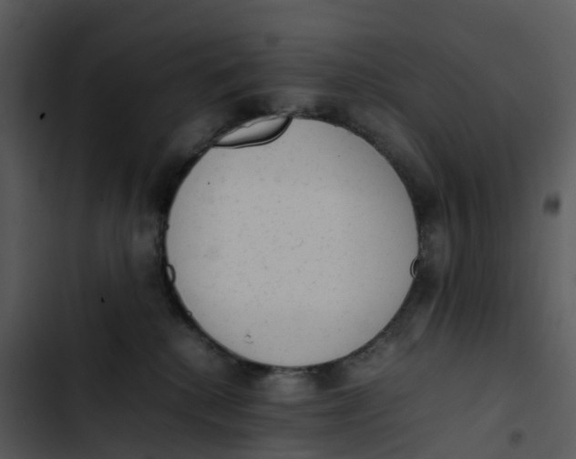 X0000102860280200809081313