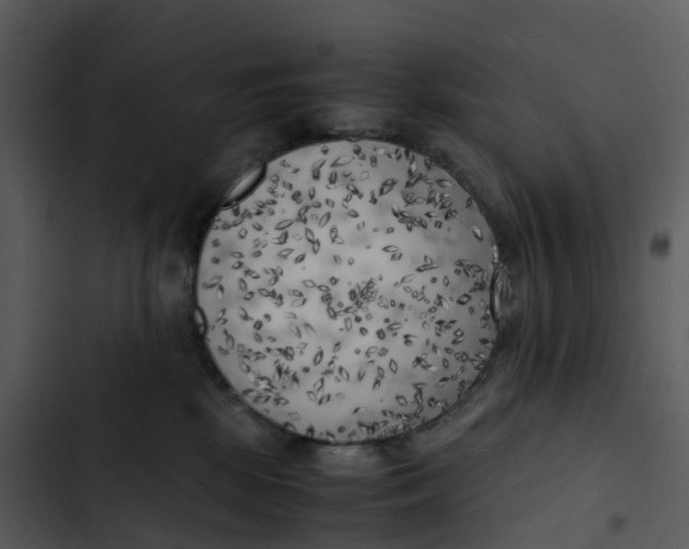 X0000102860281200809081313