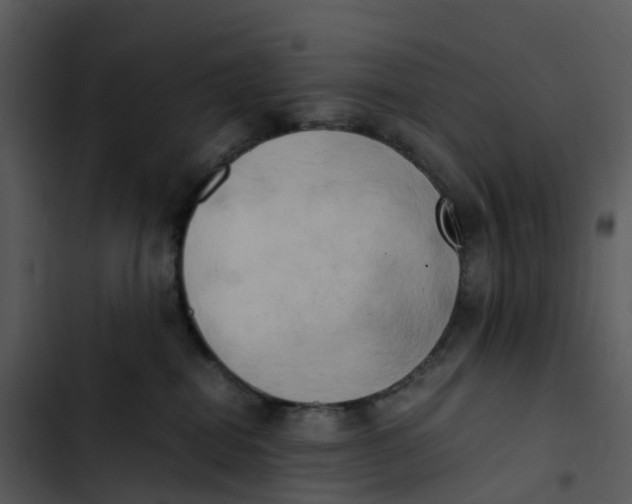 X0000102860282200809081313