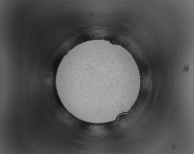 X0000102860283200809081313